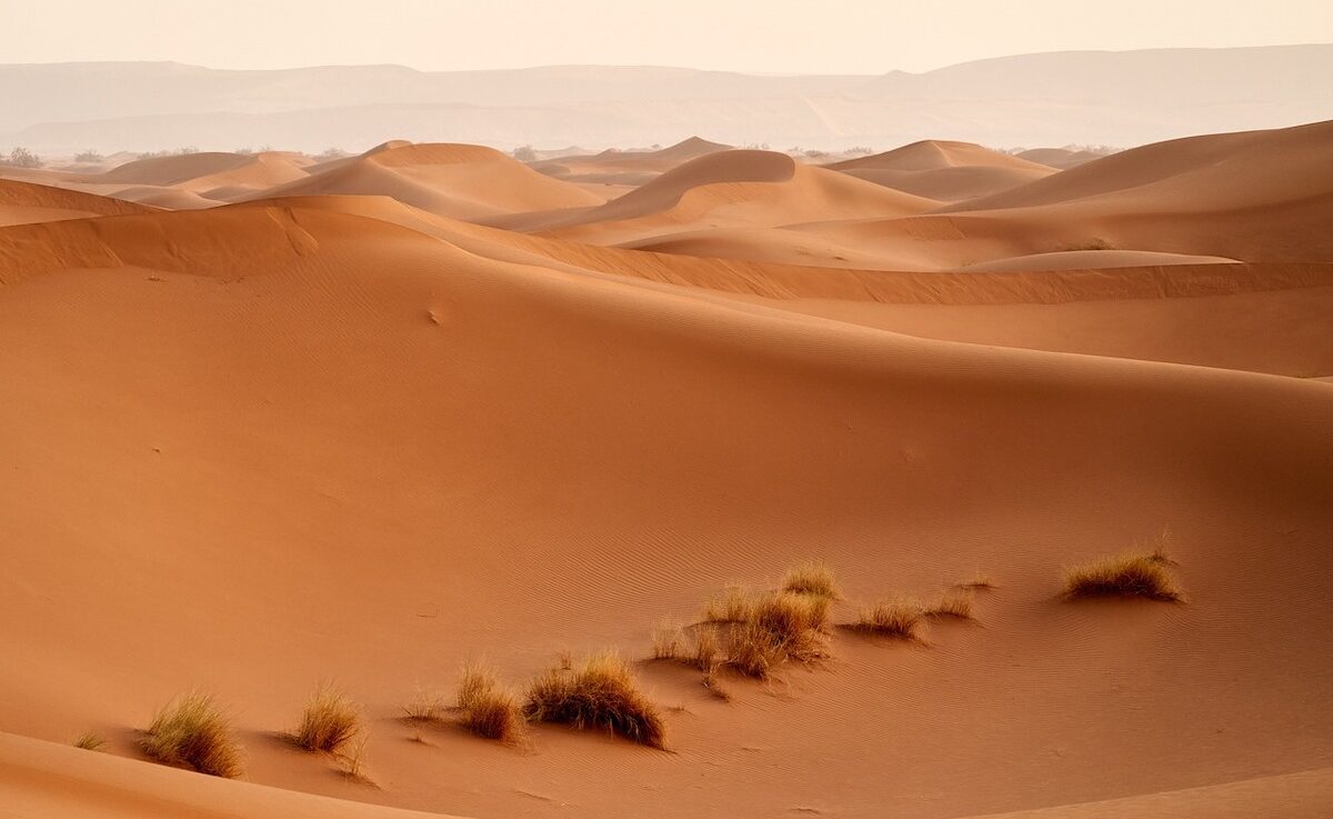 Wüstenreisen fernab der Zivilisation erleben