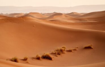 Wüstenreisen fernab der Zivilisation erleben
