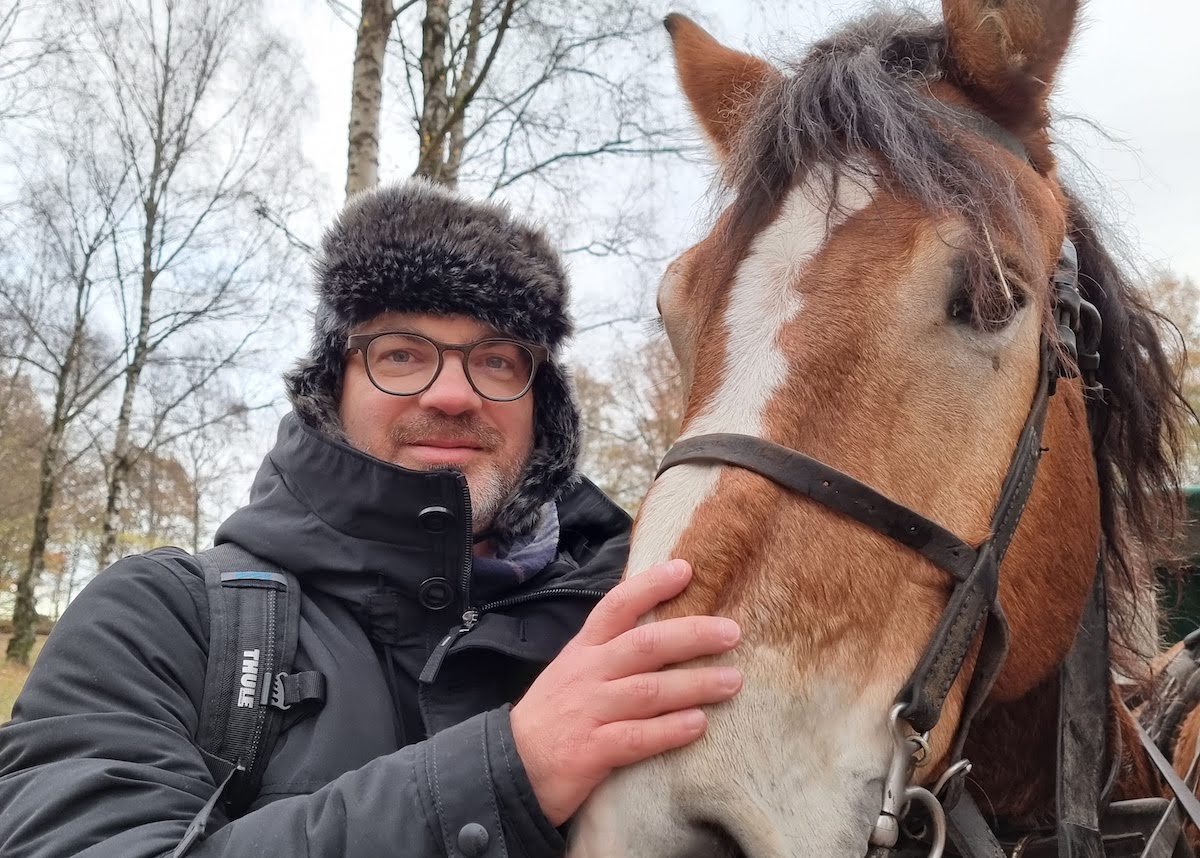 Reiturlaub für Erwachsene in der Lüneburger Heide